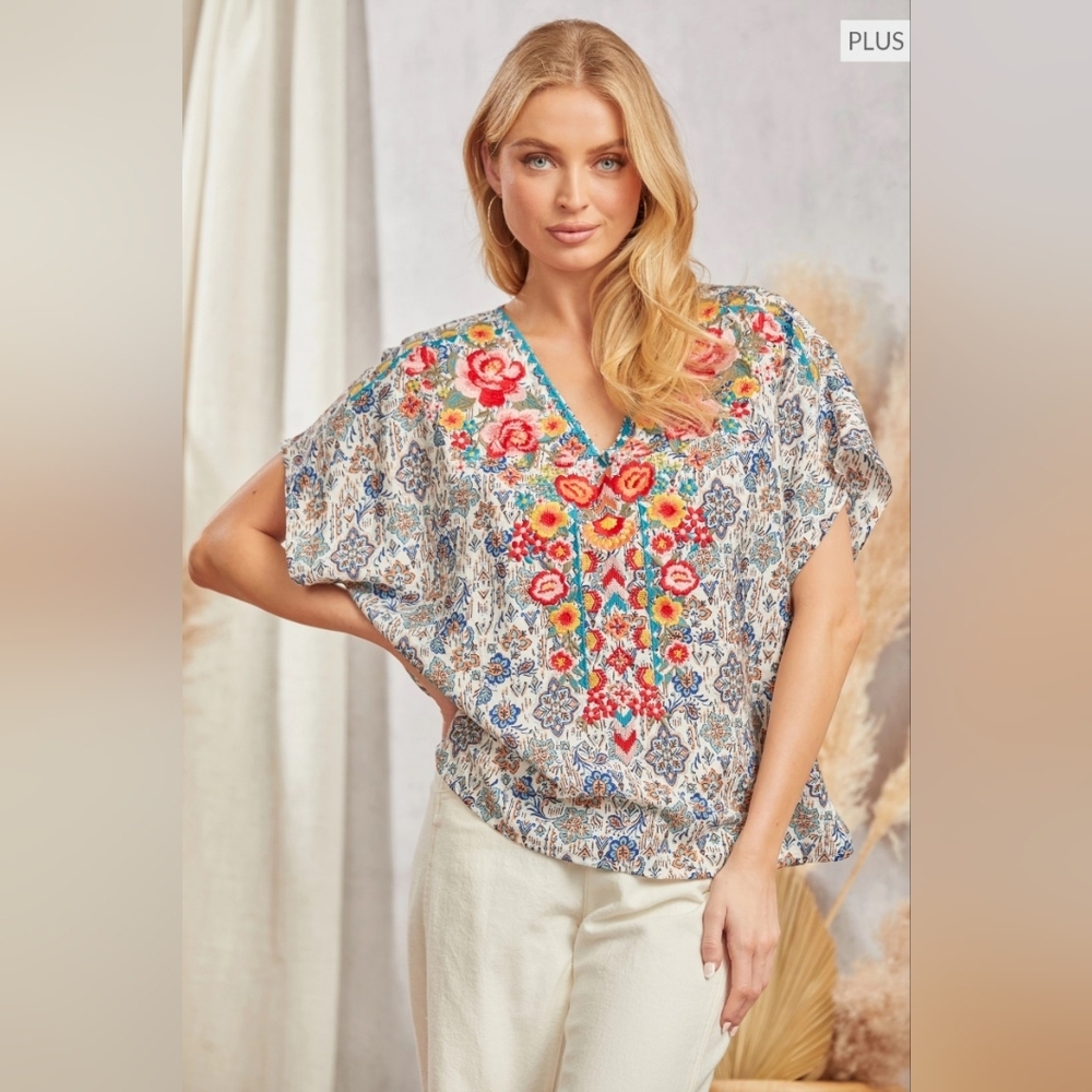 Savanna Jane V-Neck Floral Embroidered Blouse - Blue and Red